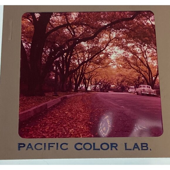 Vtg 1950's Neighborhood & Countryside 1956 Chevy Lot of 4 Ektachrome Slides 2.75 - Picture 8 of 8